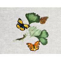 Butterflies on Grey2 panel.