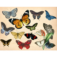 Butterflies2 shoulder bag panel
