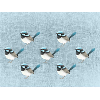 Blue Wrens Large