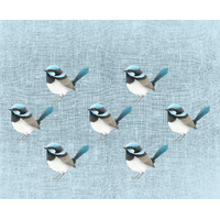 Blue Wrens Medium