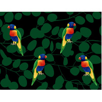 Lorikeets Mini