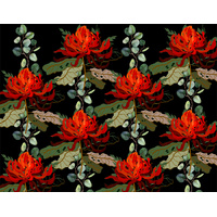 Waratah eucalyptus Small