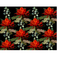 Waratah eucalyptus Mini